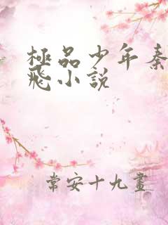 极品少年秦姨小飞小说