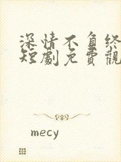 深情不负终遇你短剧免费观看全集