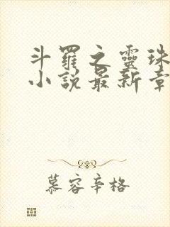 斗罗之灵珠神剑小说最新章节列表