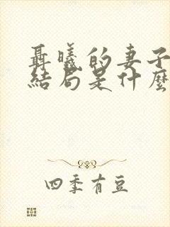 聂曦的妻子小美结局是什么