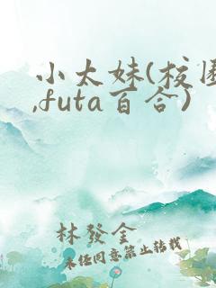 小太妹(校园h,futa百合)
