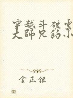 穿越斗破云岚宗大师兄的小说