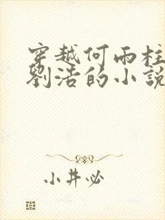 穿越何雨柱舅舅刘浩的小说