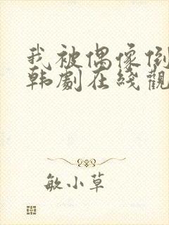 我被偶像倒追了韩剧在线观看