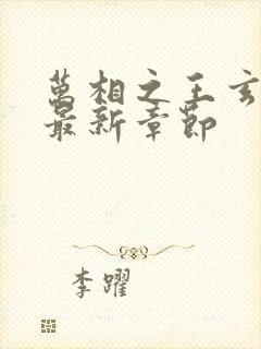 万相之王玄岚归最新章节