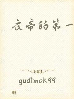 夜帝的第一狂妃