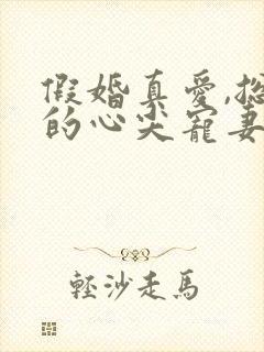 假婚真爱,总裁的心尖宠妻