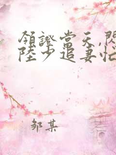 领证当天,闪婚陆少追妻忙