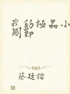 我的极品小姨无删节