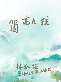 np 高h 校园
