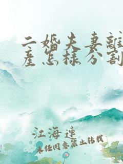 二婚夫妻离婚财产怎样分割