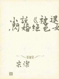 小说《被退婚后,闪婚绝色女总裁》