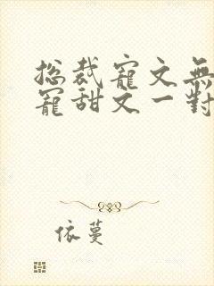 总裁宠文无虐超宠甜文一对一