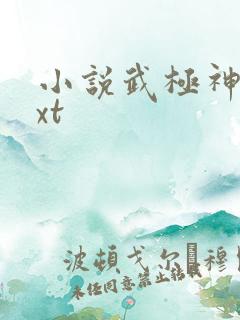 小说武极神王txt