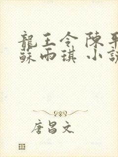 龙王令 陈平,苏雨琪 小说