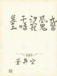 慕千汐凰九夜邪王嗜宠鬼医狂妃