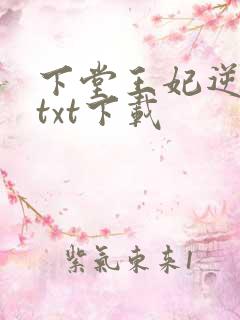 下堂王妃逆袭记txt下载