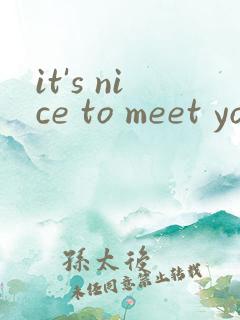 it's nice to meet you all翻译