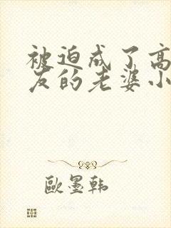 被迫成了高冷室友的老婆小说阅读免