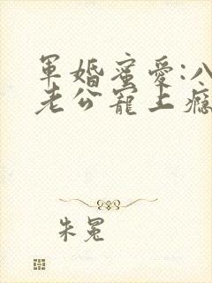 军婚蜜爱:八零老公宠上瘾 小说完整