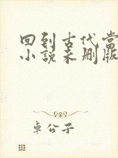 回到古代当皇子小说未删版下载txt