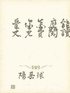 爱你怎么能了全文免费阅读