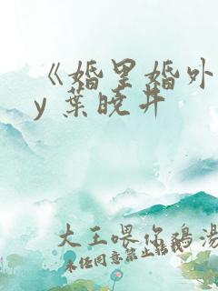 《婚里婚外》by 叶晓井