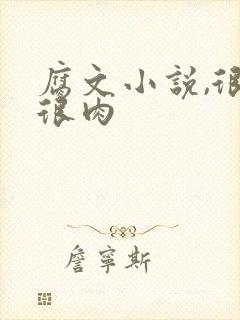 腐文小说,很污很肉