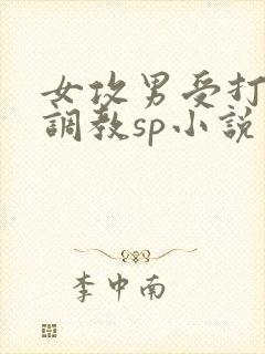 女攻男受打屁股调教sp小说