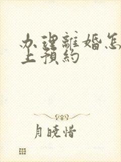 办理离婚怎么网上预约