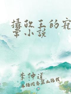 摄政王的宠妻日常小说