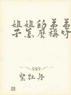 姐姐的弟弟的孩子怎么称呼