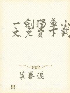 一剑独尊小说全文免费下载txt