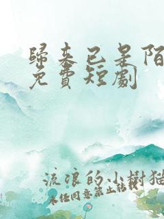 归来已是陌路人免费短剧