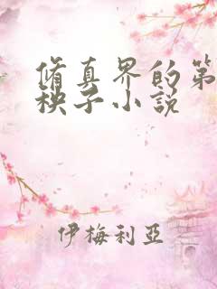 修真界的第一病秧子小说