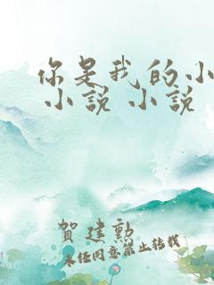 你是我的小确幸 小说 小说