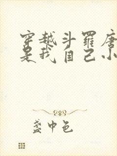 穿越斗罗唐三竟是我自己小说