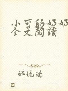 小可的奶奶小说全文阅读
