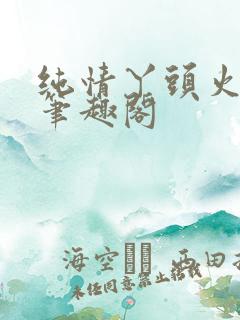 纯情丫头火辣辣笔趣阁