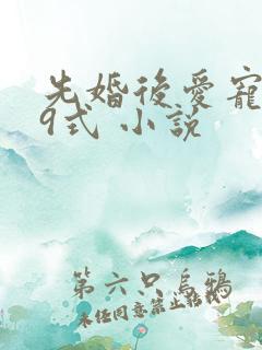 先婚后爱宠妻99式 小说