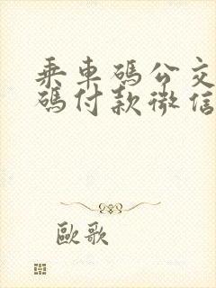 乘车码公交二维码付款微信