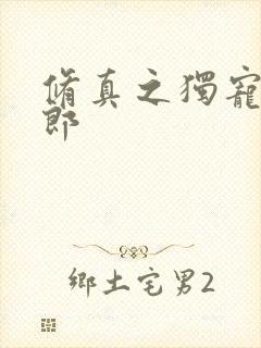 修真之独宠小夫郎