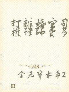 打离婚官司抚养权律师费多少钱啊