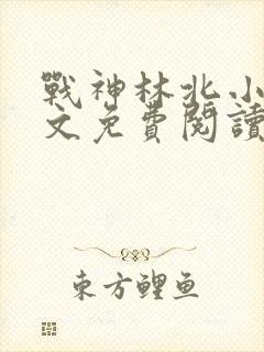 战神林北小说全文免费阅读
