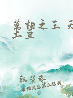 万相之王 天蚕土豆