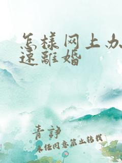 怎样网上办理快速离婚