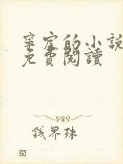 宁宸的小说全文免费阅读