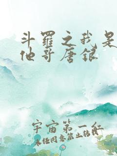 斗罗之我是唐三他哥唐银