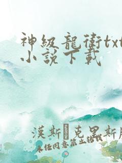 神级龙卫txt小说下载