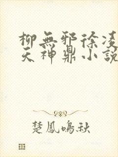 柳无邪徐凌雪吞天神鼎小说